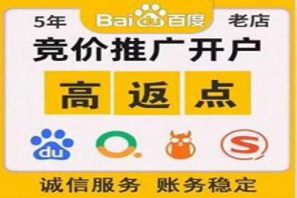 SEO策略在电商平台的成功应用案例